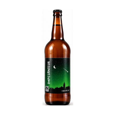 Bière IPA Impesanteur 75cl - Brasserie Galilée