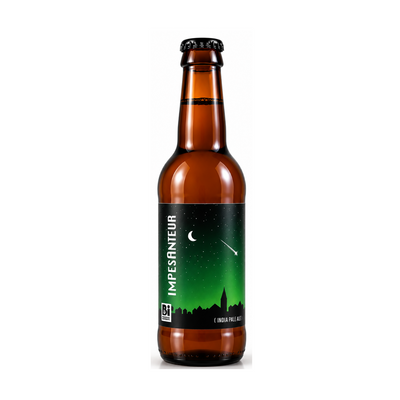 Bière IPA Impesanteur 33cl - Basserie Galilée